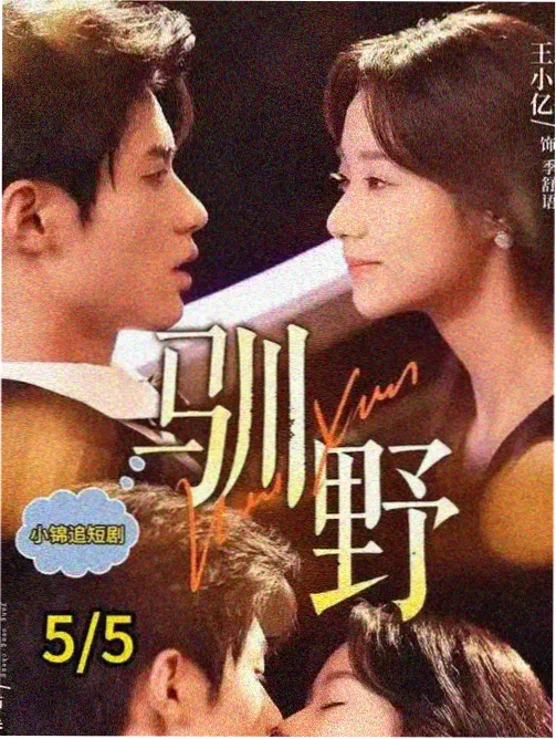 剧集叙事结构拆解图鉴封面